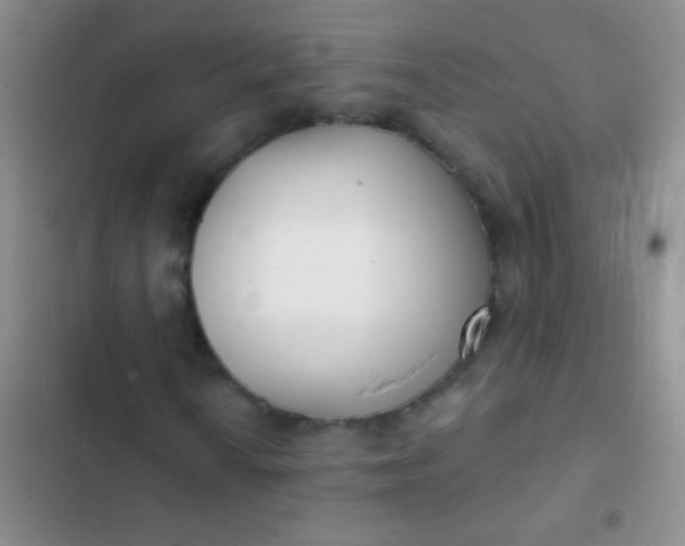 X0000102531010200808221900