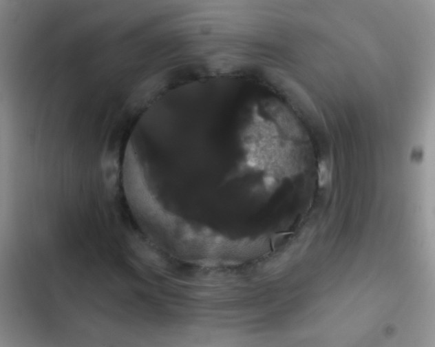 X0000102531011200808221900