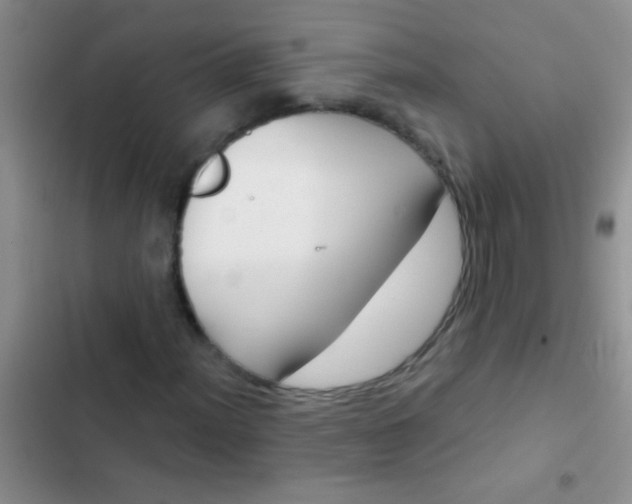 X0000102531012200808221900