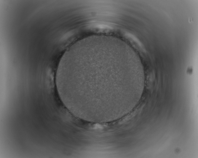 X0000102531013200808221900