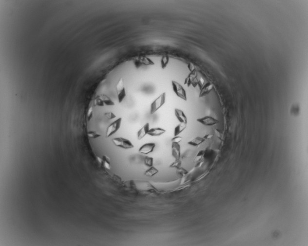 X0000102531014200808221900