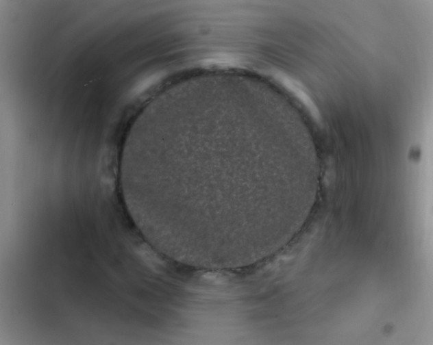 X0000102531015200808221900