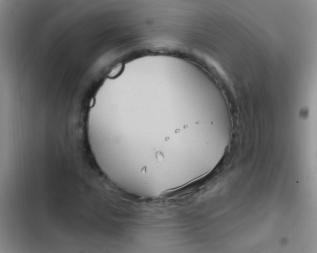 X0000102531016200808221900