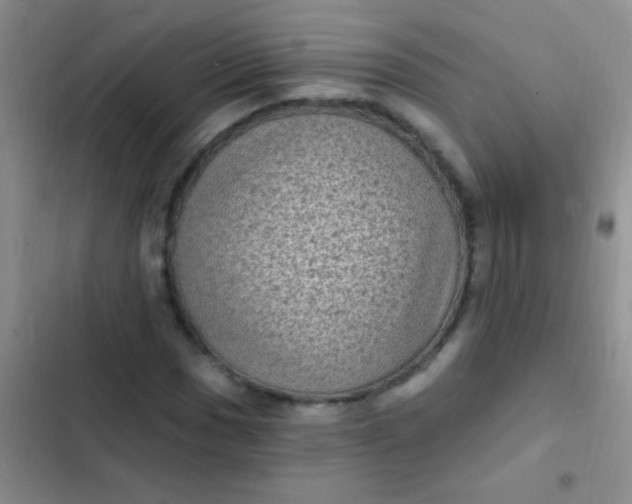 X0000102531017200808221900