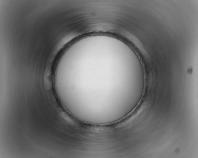 X0000102531018200808221900