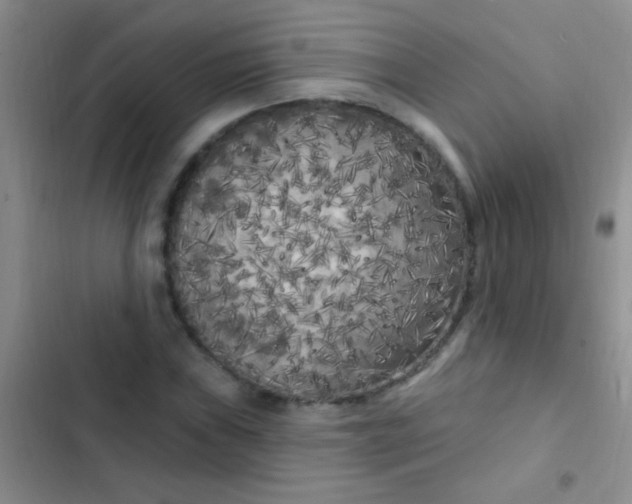 X0000102531019200808221900