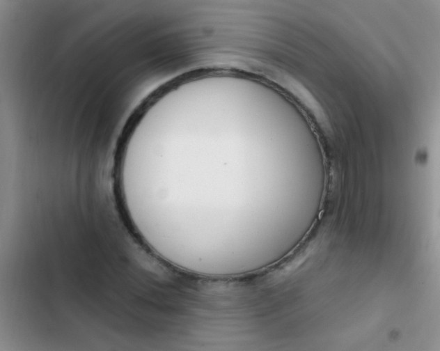 X0000102531020200808221900