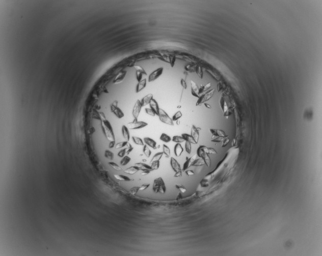 X0000102531022200808221900