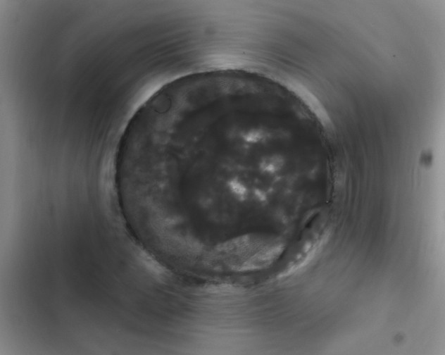 X0000102531023200808221900