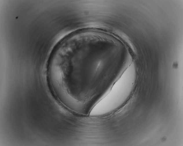 X0000102531024200808221900