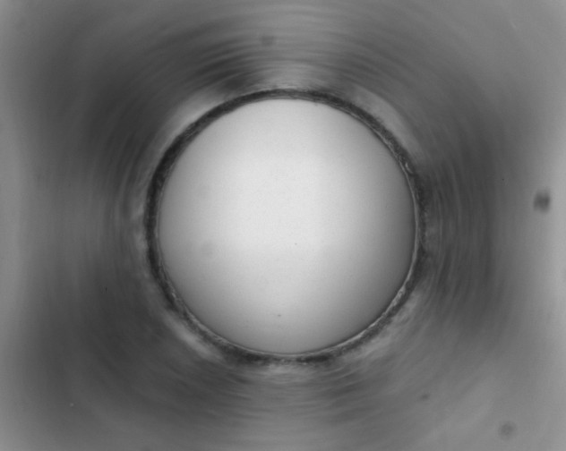 X0000102531026200808221900