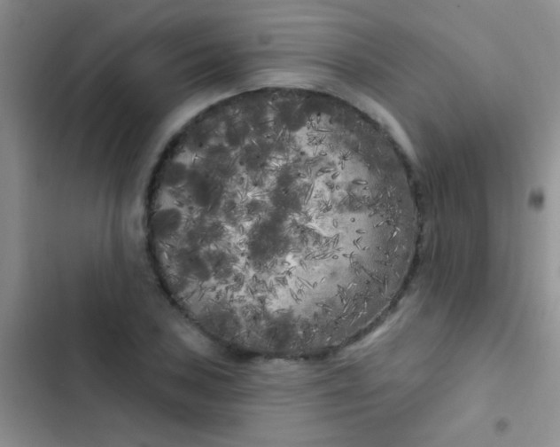 X0000102531027200808221900