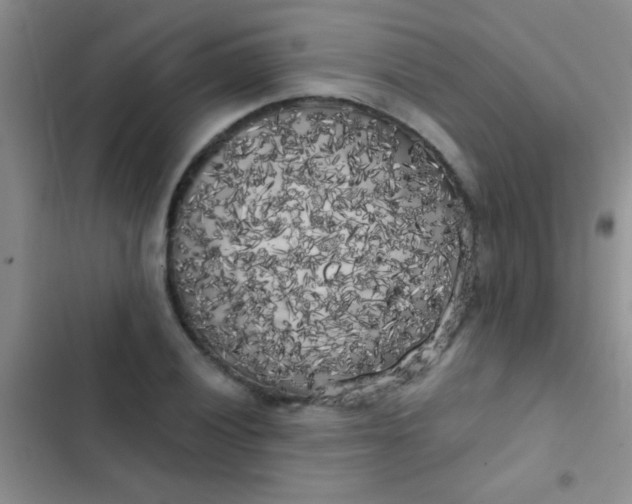 X0000102531028200808221900