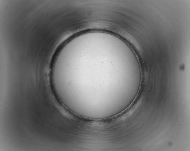 X0000102531029200808221900