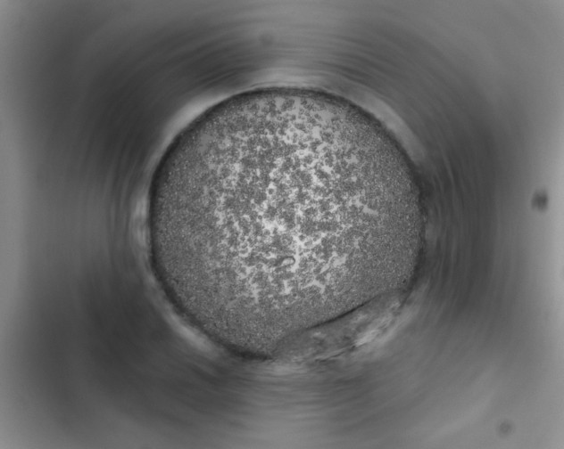 X0000102531030200808221900