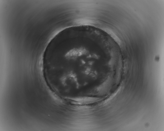 X0000102531031200808221900