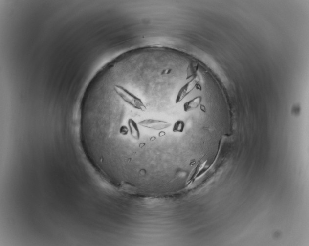 X0000102531032200808221900