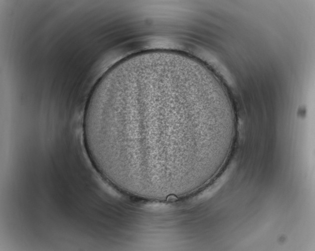 X0000102531033200808221900