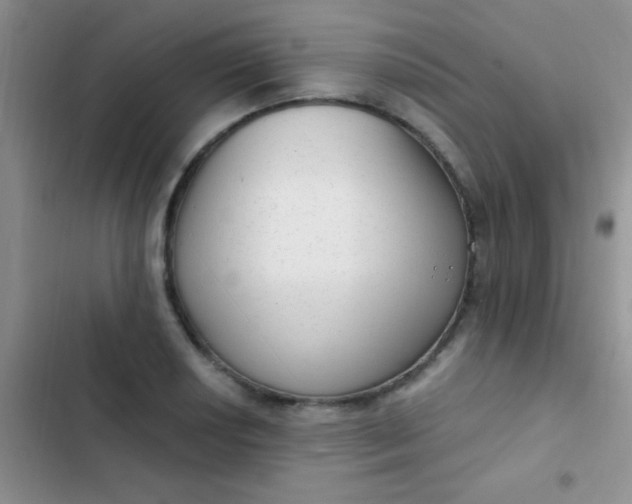 X0000102531034200808221900