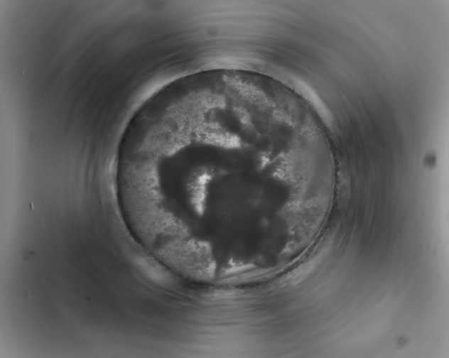 X0000102531035200808221900