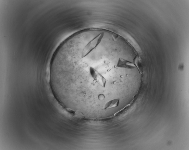 X0000102531036200808221900