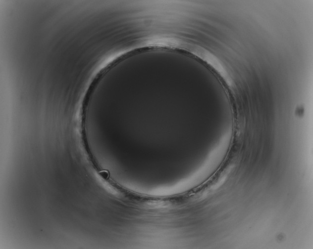 X0000102531037200808221900