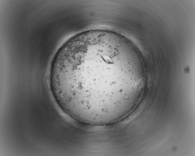 X0000102531038200808221900