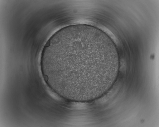 X0000102531039200808221900