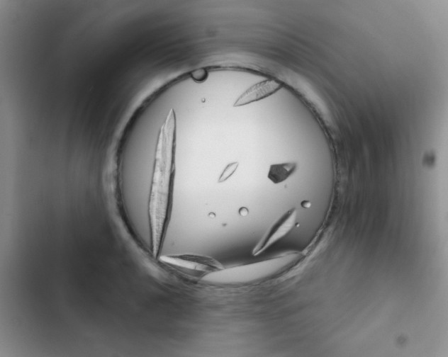 X0000102531040200808221900