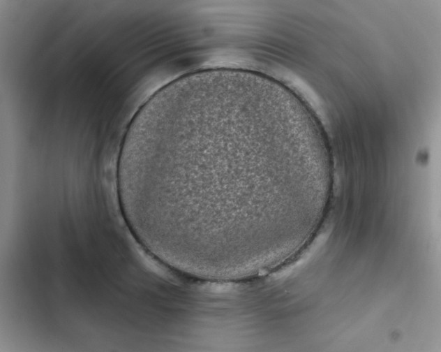 X0000102531041200808221900