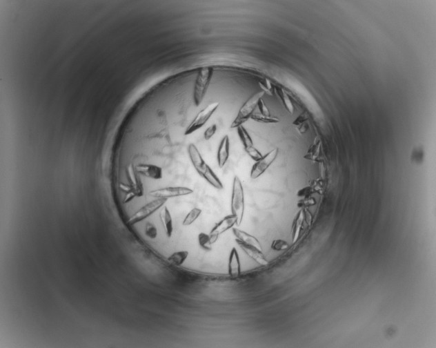 X0000102531043200808221900