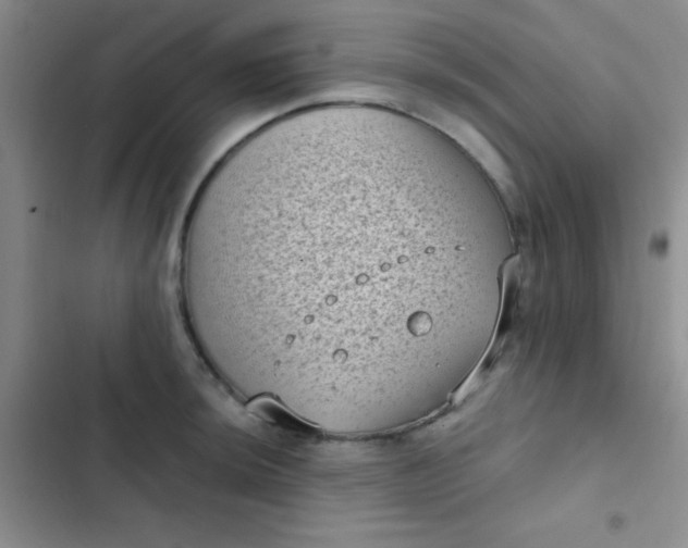 X0000102531044200808221900