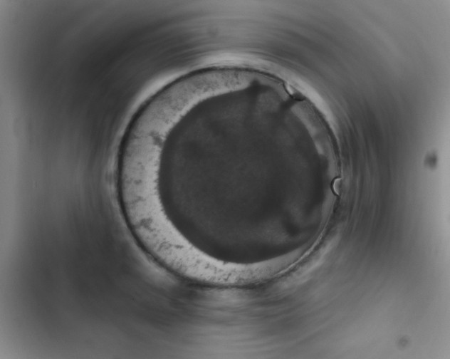 X0000102531045200808221900