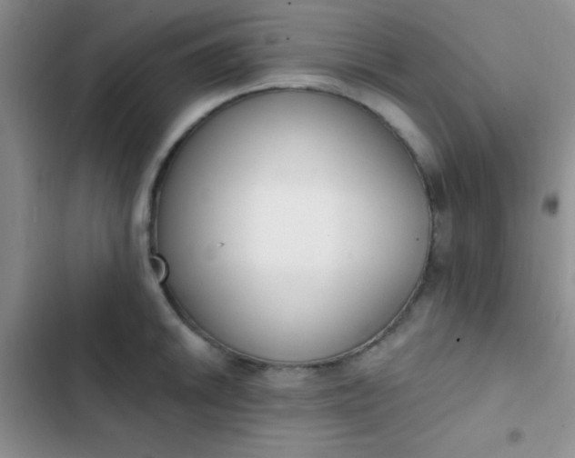 X0000102531046200808221900