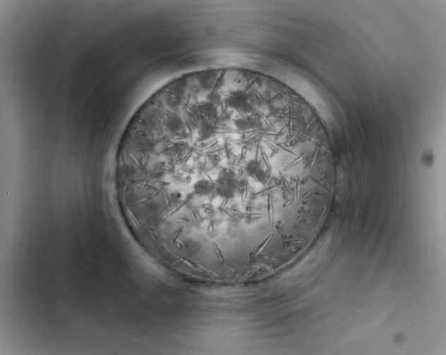 X0000102531047200808221900