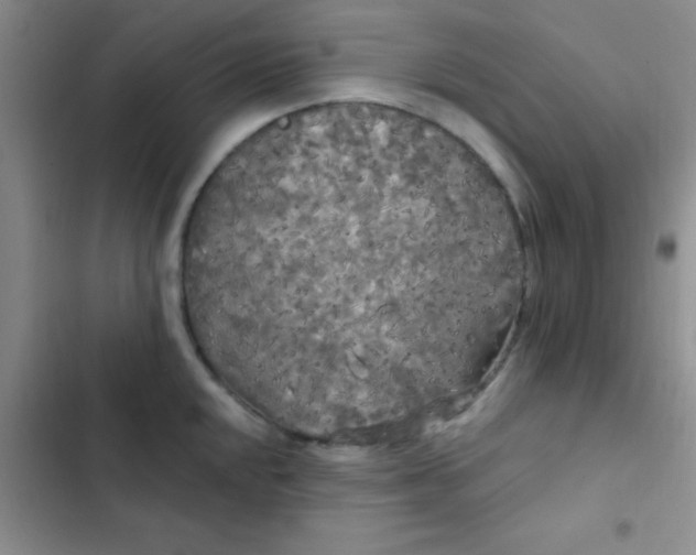 X0000102531048200808221900