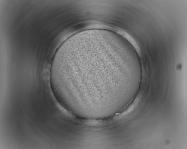 X0000102531049200808221900