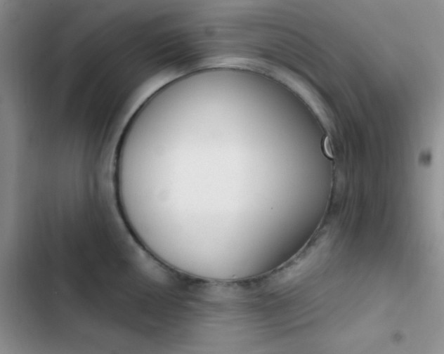 X0000102531050200808221900