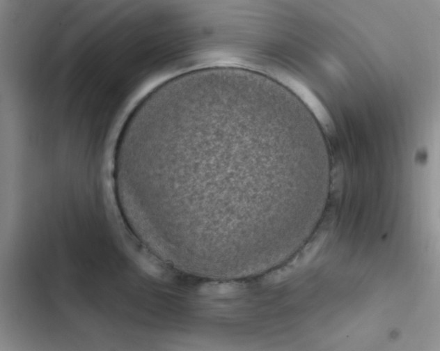 X0000102531051200808221900