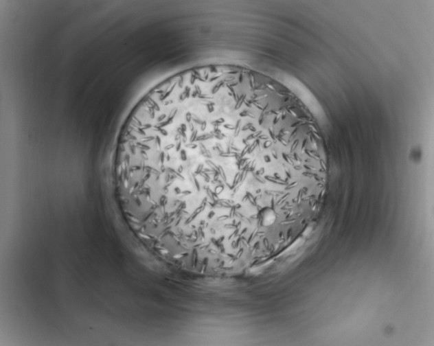 X0000102531052200808221901