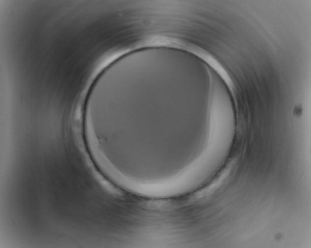 X0000102531053200808221901