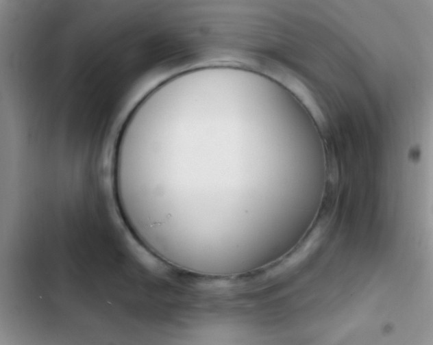 X0000102531054200808221901