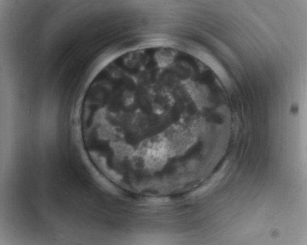 X0000102531055200808221901