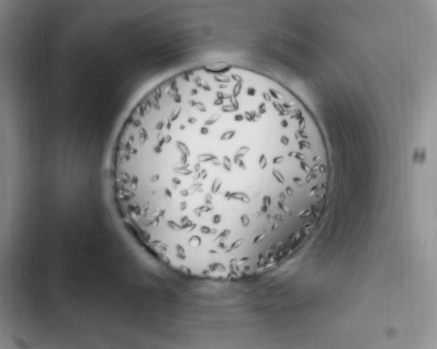 X0000102531056200808221901