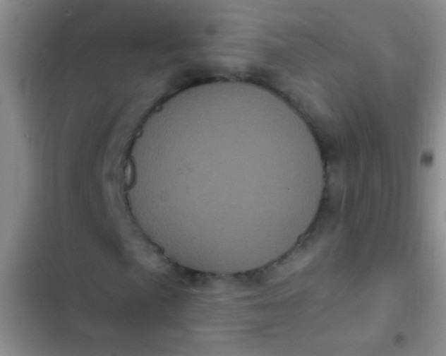 X0000102531057200808221900