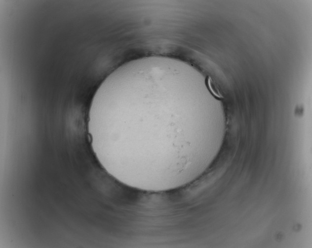 X0000102531058200808221900