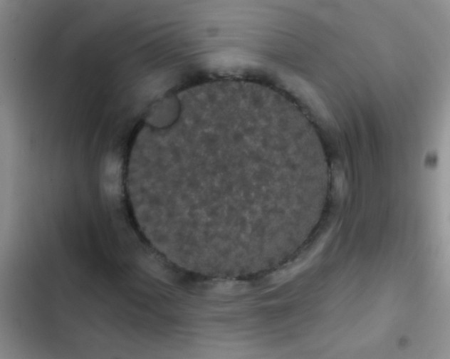 X0000102531060200808221900