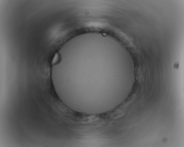 X0000102531061200808221900