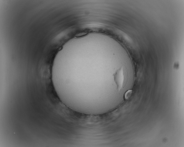 X0000102531062200808221900