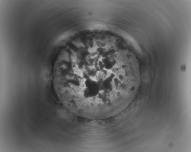 X0000102531063200808221900